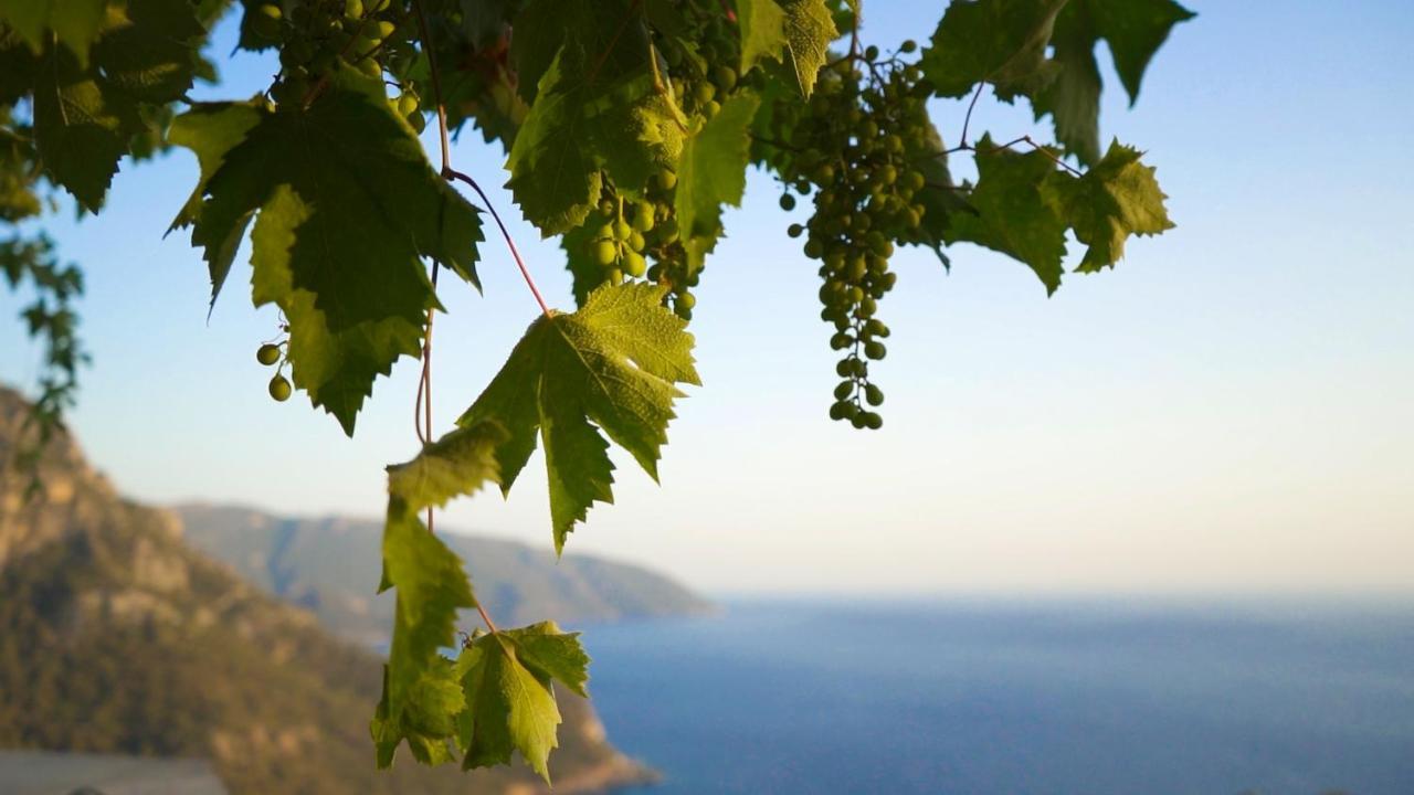 Kabak Mamma'S Pension Restaurant & Terrace Bar Fethiye Eksteriør bilde